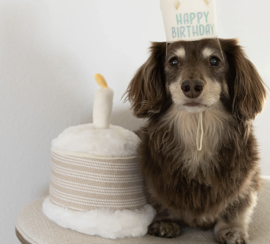 Birthday Cake Toy