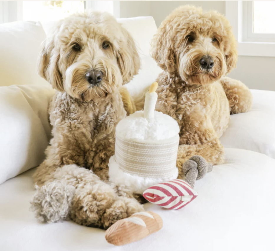 Birthday Cake Toy
